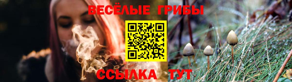 Псилоцибиновые грибы мухоморы Югорск